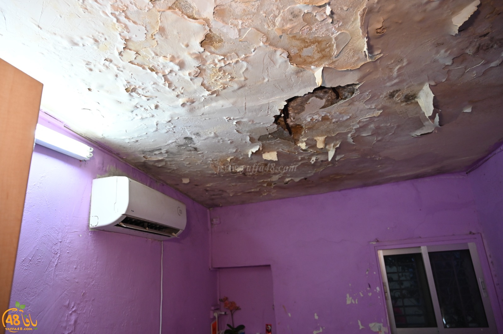 WhatsApp Image 2022-03-06 at 8.47.28 PM (1).jpg